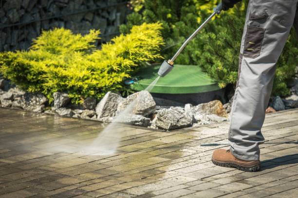 Best Pre-Holiday Cleaning  in Silt, CO